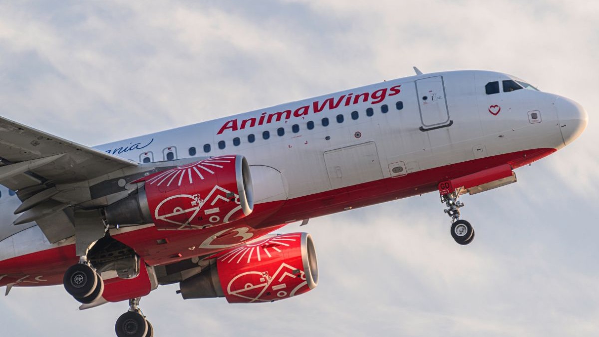 Intrarea în insolvență a companiei aeriere AnimaWings, respinsă de Tribunalul București. Reacția CEO-ul firmei, după respingereea cererii