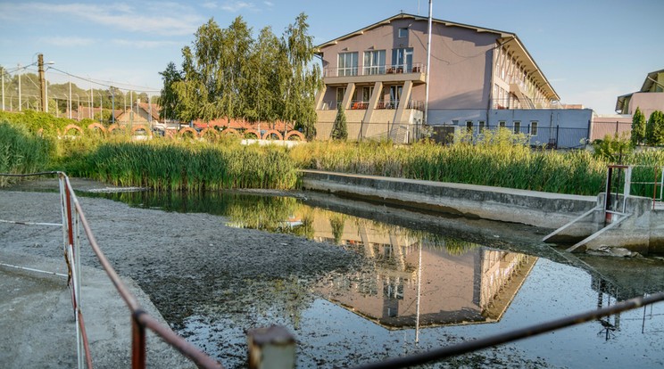 Csaknem teljesen kiszáradt tómeder az erdélyi Püspökfürdőn, még 2014-ben. A Nagyváraddal szomszédos Püspökfürdő termáltavában ebben az évben nem nyílt már ki az Európában csak itt őshonos hévízi tündérrózsa. /Fotó:MTI