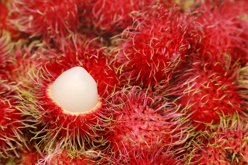 Rambutan