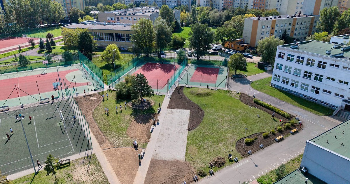 Mniej betonu, więcej zieleni. Budują klimat we wrocławskich szkołach