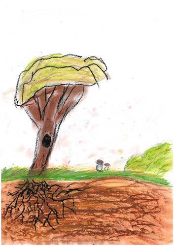 Planeta Energii uczy dzieci jak naprawiać świat