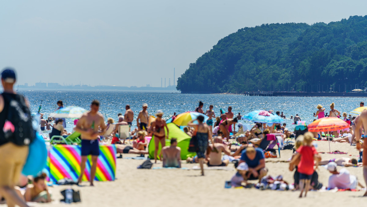 Za te pięć rzeczy dostaniesz mandat na plaży