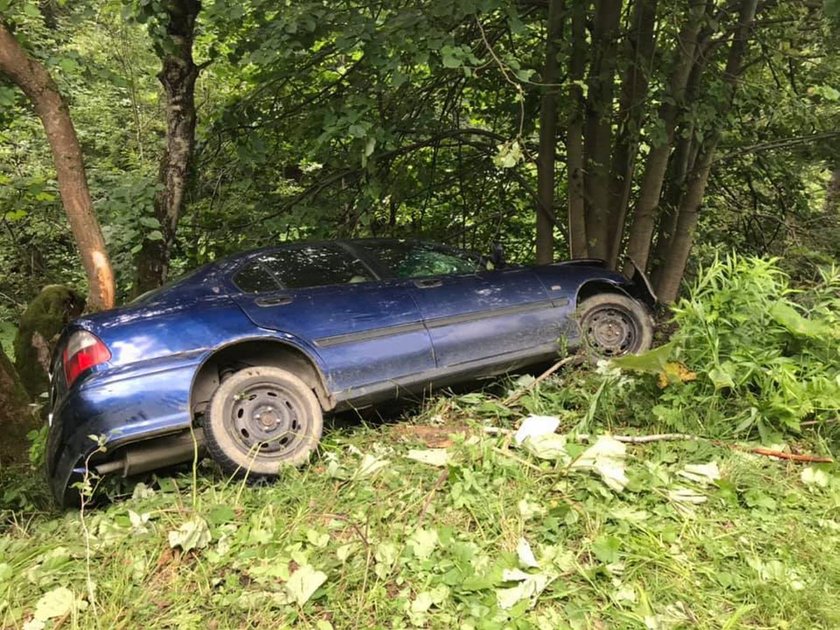 Wieźli osobówką kradzione cielę. Spowodowali wypadek i uciekli