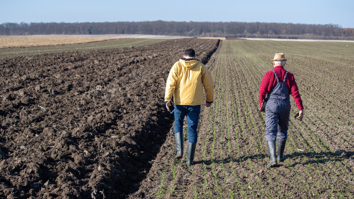 Uklonjeno više od 100 tona nebezbedne hrane životinjskog porekla: Isplaćeno 131 milijardi dinara za poljoprivredu