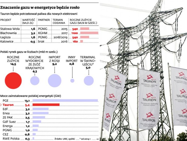 Znaczenie gazu w energetyce będzie tylko rosło