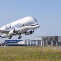 Airbus BelugaXL po raz pierwszy w powietrzu