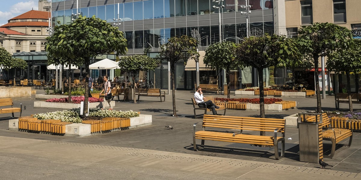 Katowice. Usychają surmie na rynku 