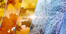 pogodny, ale mroźny dzień. prognoza pogody i poradnik ubioru dla uczniów na środę, 19 listopada