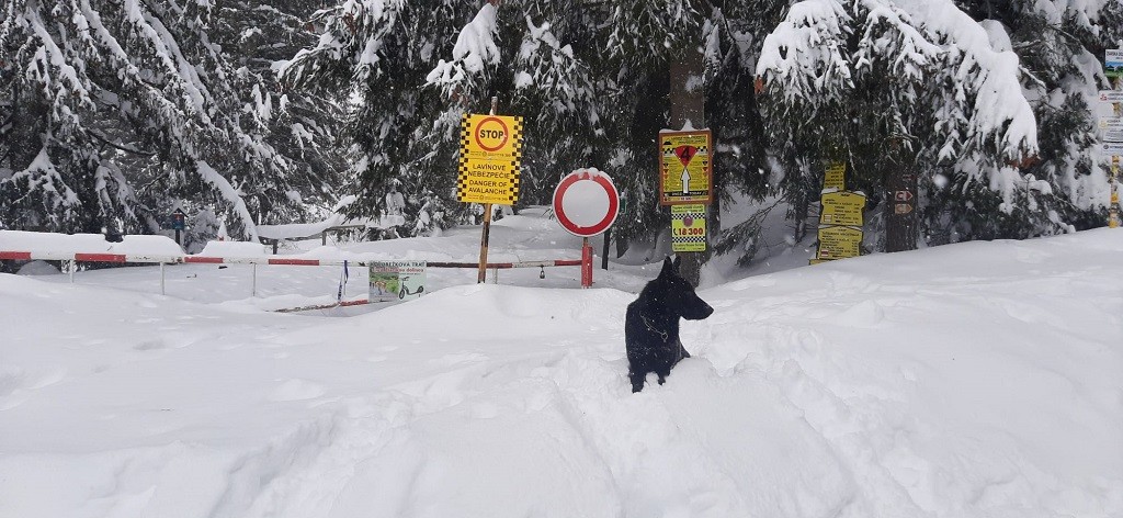 V uplynulých dňoch napadlo v niektorých horských oblastiach viac ako 100 až 150 centimetrov snehu.