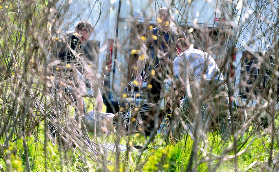 Jelenino telo pronađeno je u kanalu pored nasipa u Crvenki