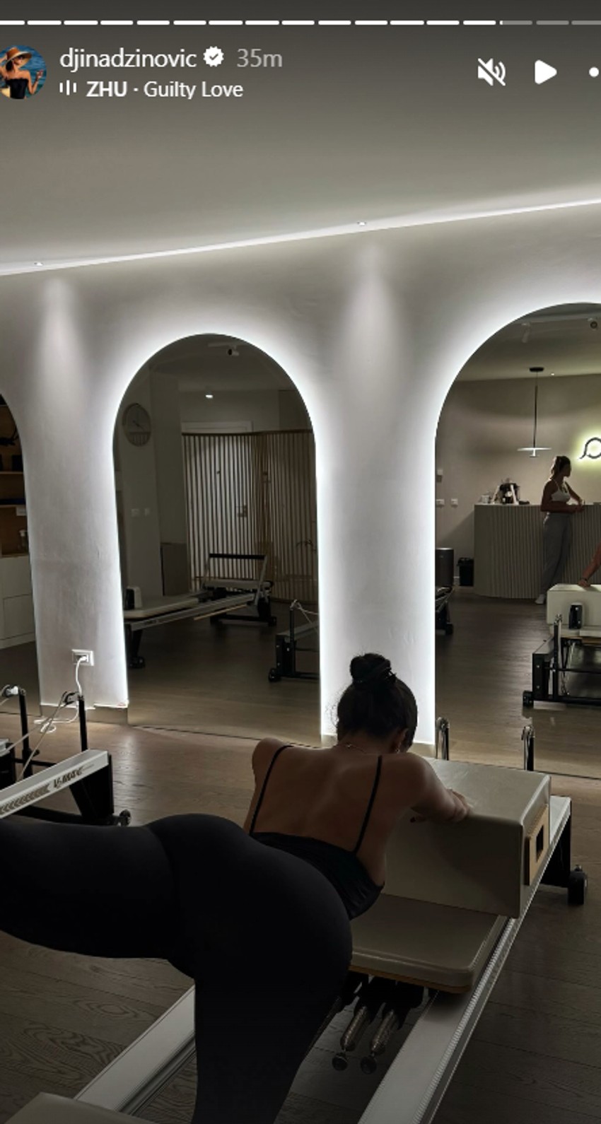 Đina Džinović, objava