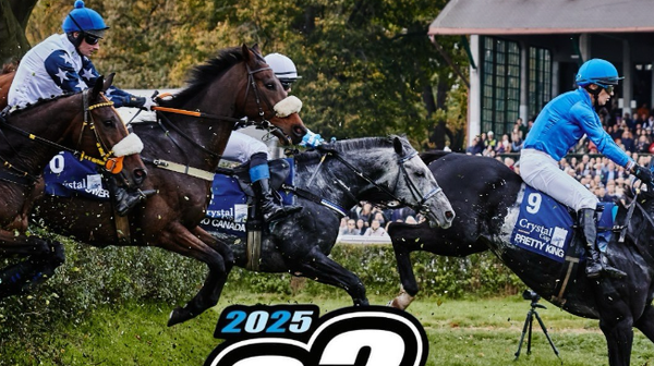 Wylicytować można m.in. nazwę najważniejszej przeszkody na Wrocławskim Torze Wyścigów Konnych Partynice - skoku trybunowego. 