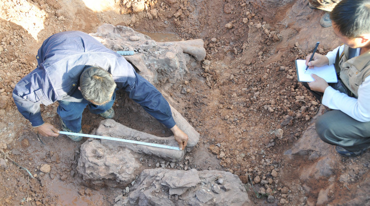 Gigantikus dinoszaurusz maradványait tárták fel Argentínában /Illusztráció: Northfoto