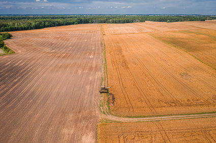 Irlandzcy rolnicy chcą kupić warte 8,87 mln euro gospodarstwo w Polsce