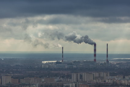 Polacy płacą za węgiel coraz więcej. Wszystko przez walkę ze smogiem