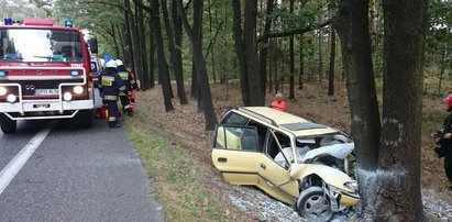 Kierowca wjechał w drzewo. Zginął na miejscu