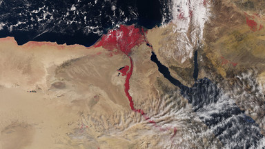 Nil przybrał czerwony kolor. Czy to kolejna egipska plaga?