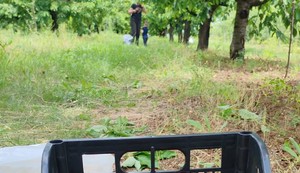 Milan Dinčić Dinča sa sinom u berbi
