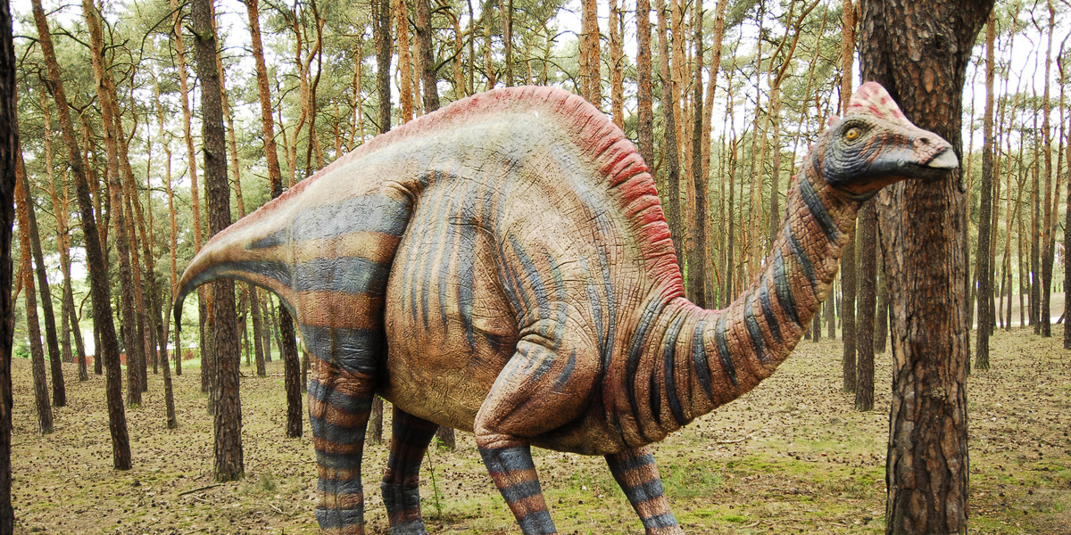 Dinozaury w Poznaniu 