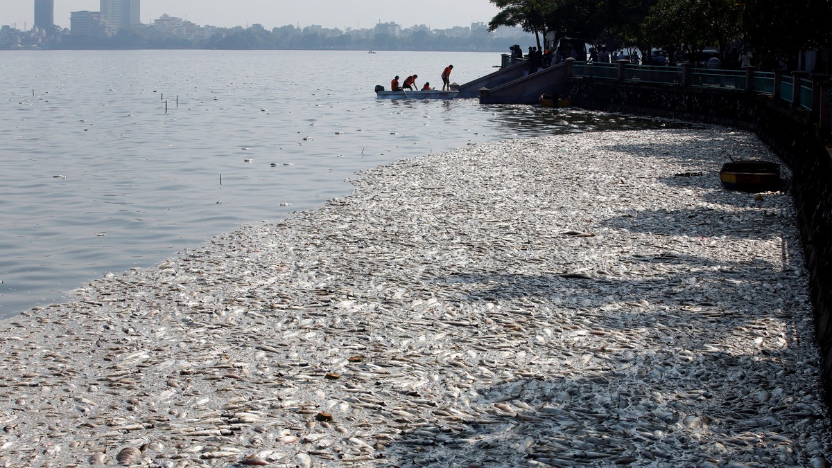 Soldiers collect dead fishes floating in the polluted West Lake in Hanoi, Vietnam