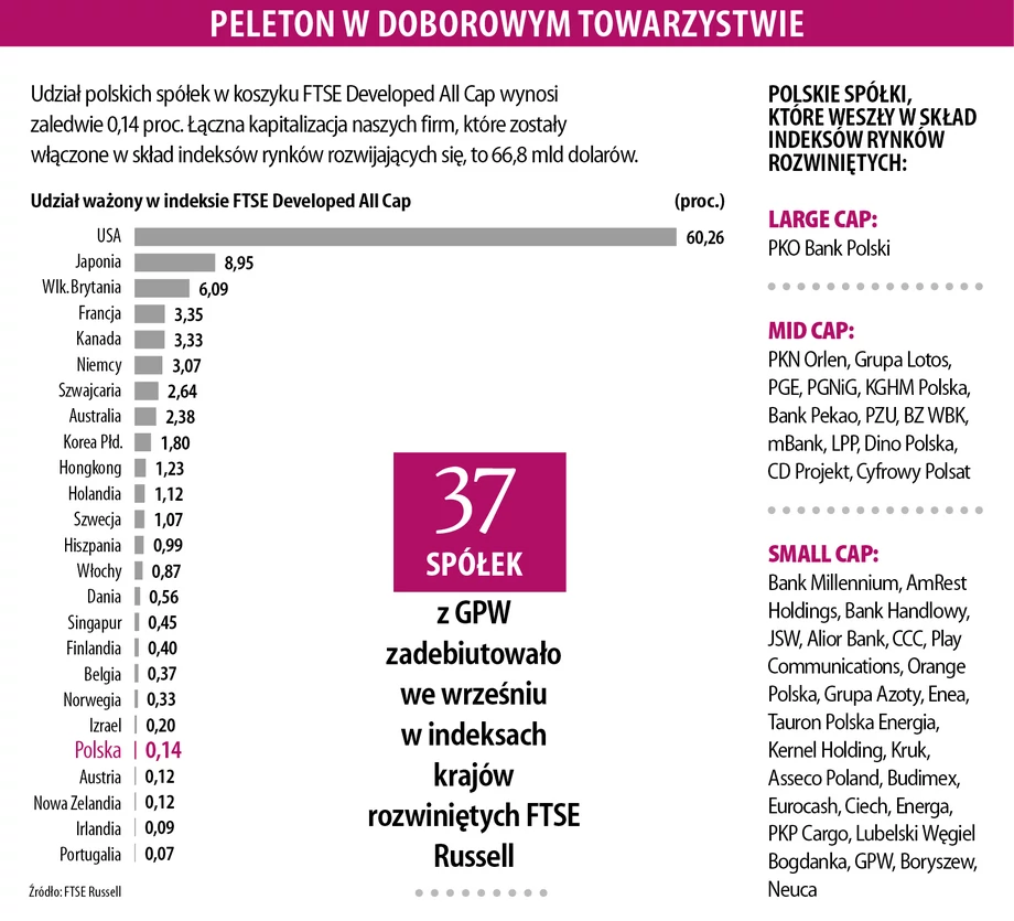 Udział ważony w indeksie FTSE Developed All Cap