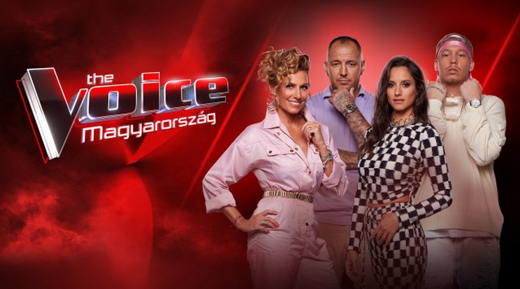 A The Voice coachai segítőket kapnak / Fotó: RTL