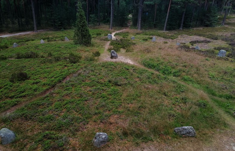 Jeden z kręgów w Odrach, nazywanych polskim Stonehenge