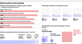 Gaz łupkowy w Polsce: potrzebne setki odwiertów i miliardy na inwestycje