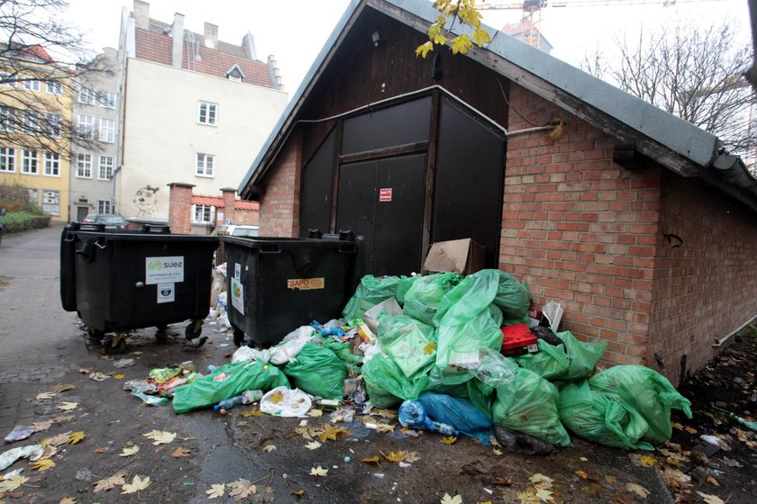 Gdańszczanie ripostują, zamiast robić ankietę, niech lepiej patrolują miasto