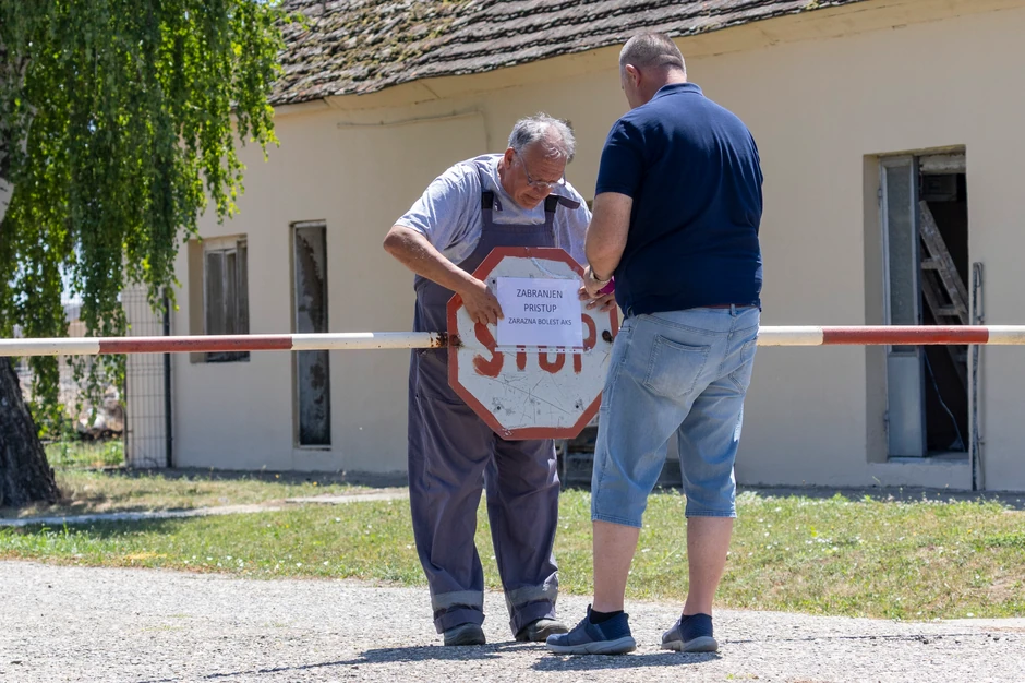 Farma svinja