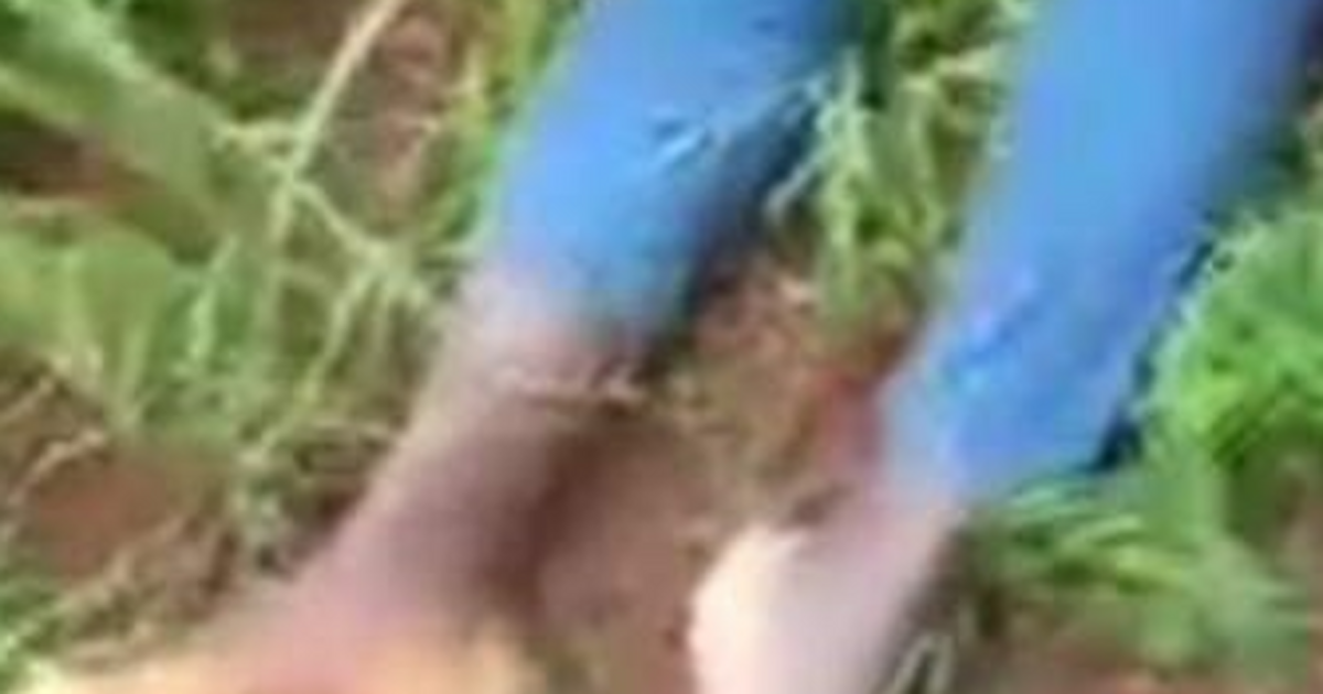 Pregnant woman's corpse found half-naked in Imo bush - Vimarsana News