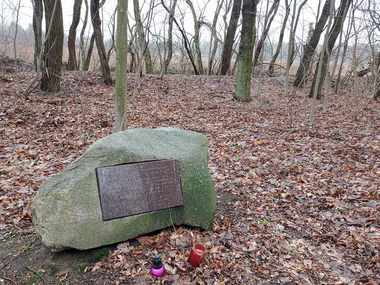 Widok na powstającą w Porszewicach kopalnię z cmentarza. Za linią drzew również będzie prowadzone wydobycie piasku