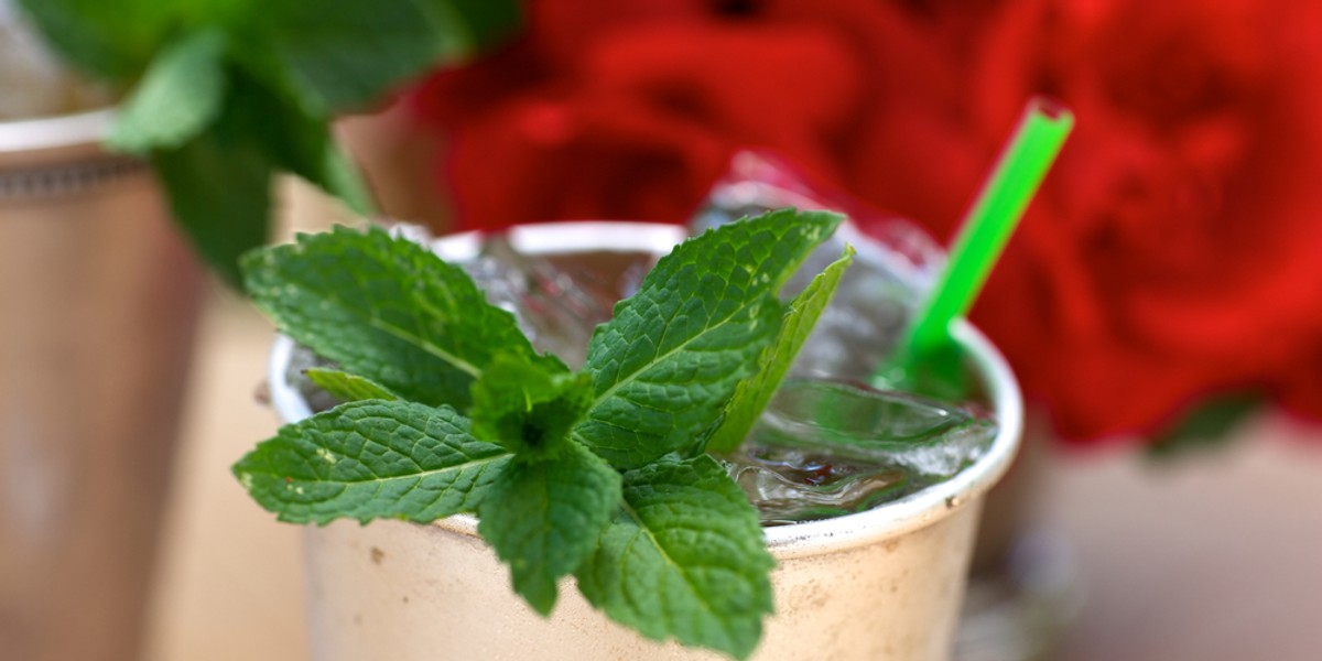 If you're making mint juleps for this weekend's Kentucky Derby, there's only one right way to do it