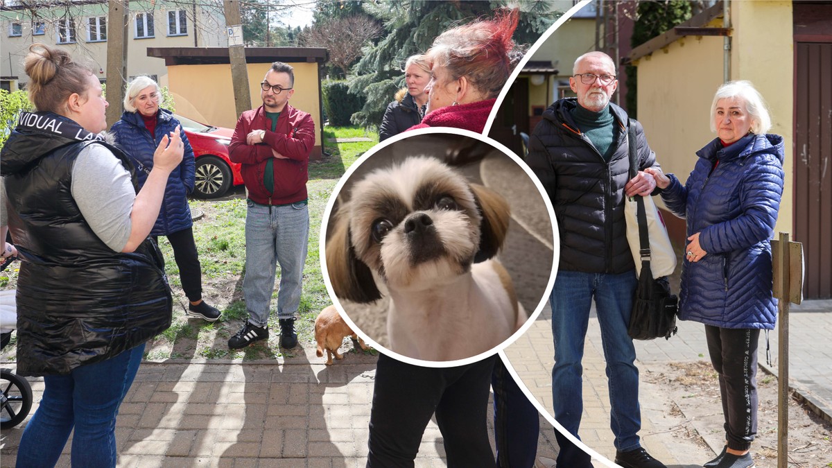 Brutalny atak na osiedlu w Brwinowie. 