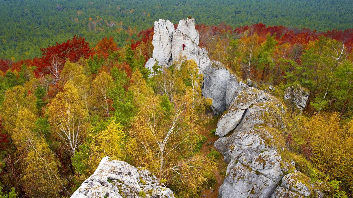 Góra Kołoczek, Rezerwat Góra Zborów, Skały Kroczyckie