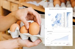 Ceny jaj w Europie. W tych krajach ludzie łapią się za portfele