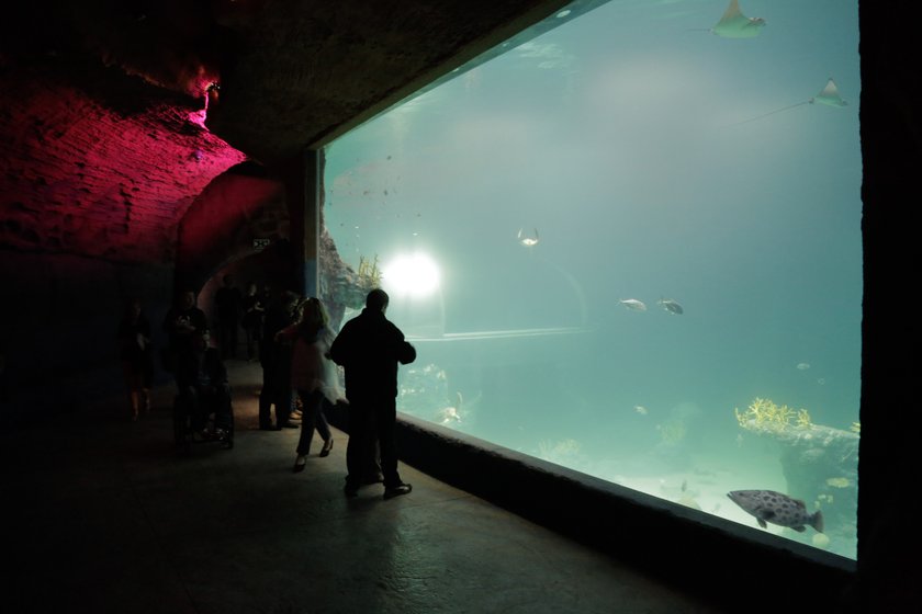 Afrykarium we wrocławskim ZOO