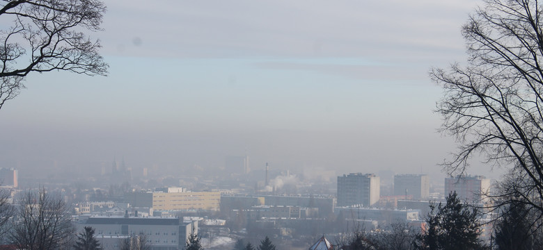 Dr Wojciech Feleszko: mamy niezbite dowody na wpływ smogu na nasze dzieci