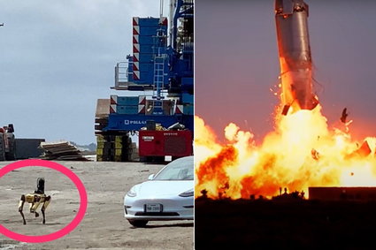 Sceny jak z Cyberpunka na lądowisku SpaceX. Robopies sprawdzał szczątki rakiety Starship po eksplozji