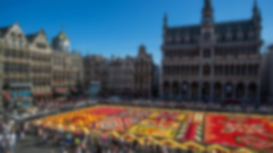 Belgia: kwiatowy dywan na Grand Place tym razem w afrykańskie wzory
