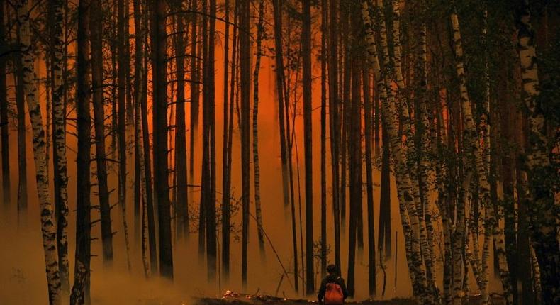 Russia's cash-strapped forest service struggles to cover vast expanses where wildfires occur