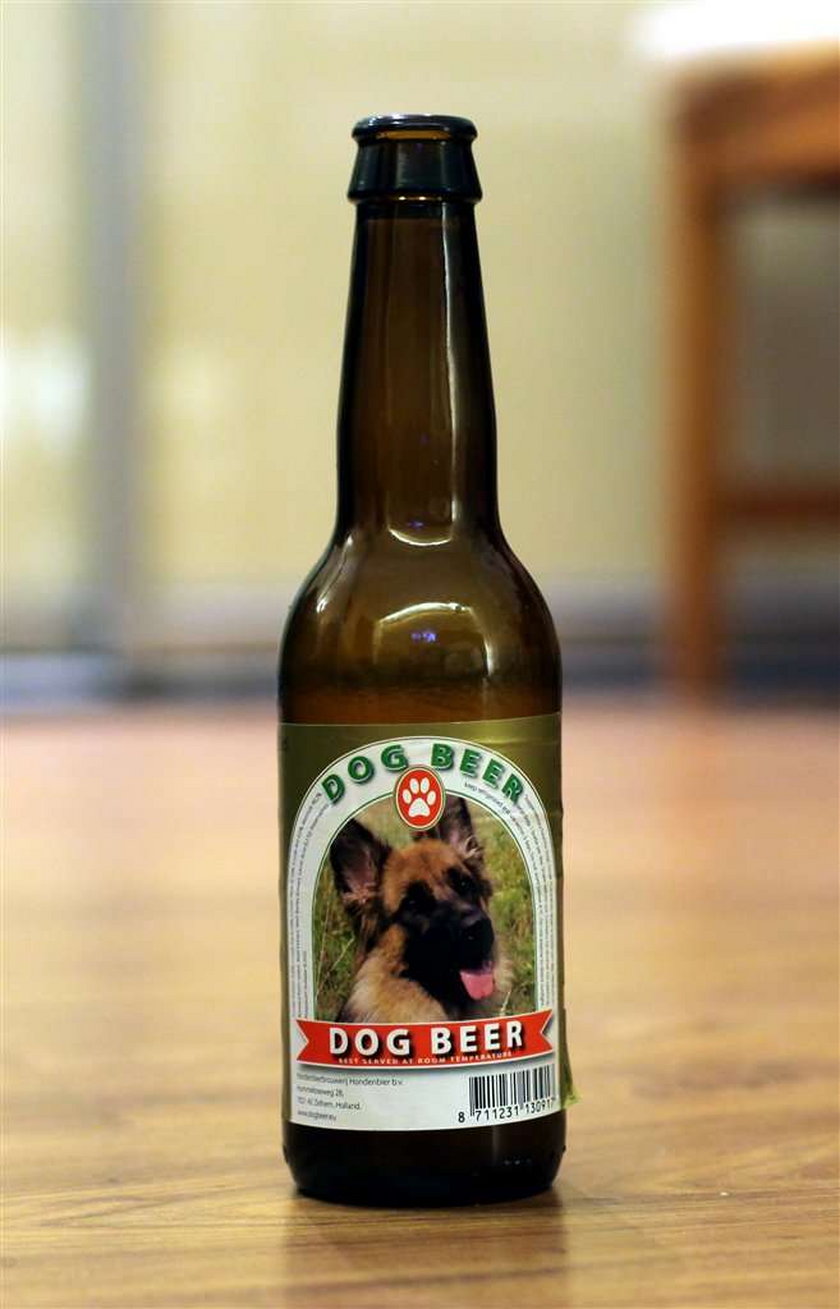 Piwo dla psa