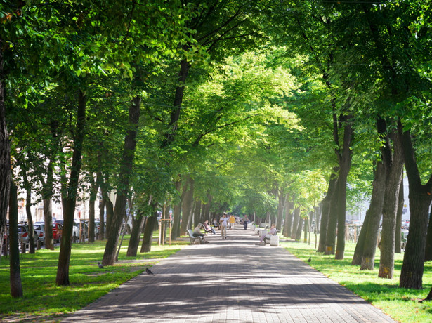 Park w mieście