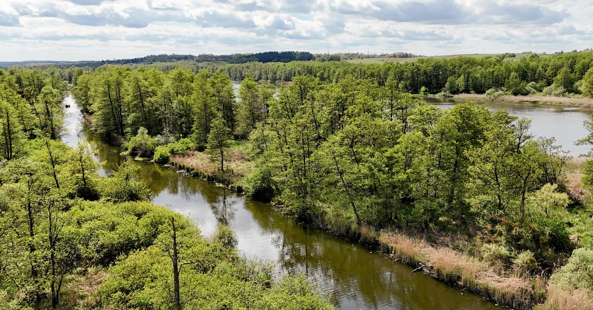 Sejm uchwalił park narodowy nad Odrą - szczegóły i granice