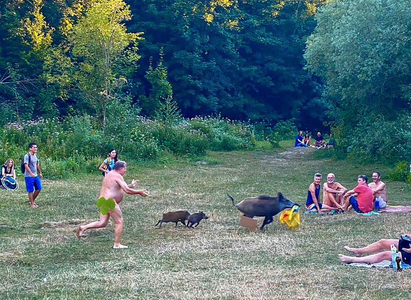 Chcą zabić lochę, która ukradła laptop nagusowi na plaży