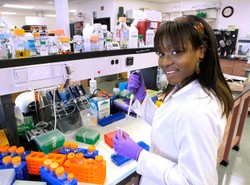 Co opłaca się studiować w USA