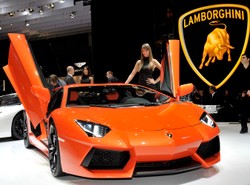 Seksbomby i szalony byk