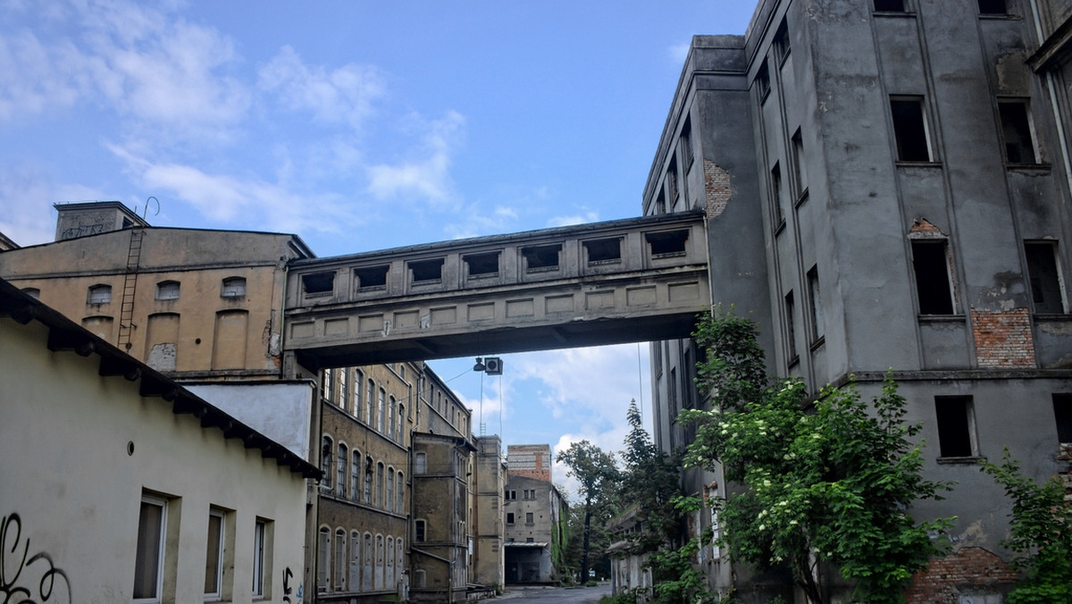 16 mln zł ma kosztować rewitalizacja terenów po byłej Fabryce Nici "Odra" w Nowej Soli (Lubuskie). Niegdyś jeden z flagowych zakładów w tym mieście, został zamknięty w 1998 r. Od tego czasu znajdująca się w śródmieściu fabryka popadała w ruinę.