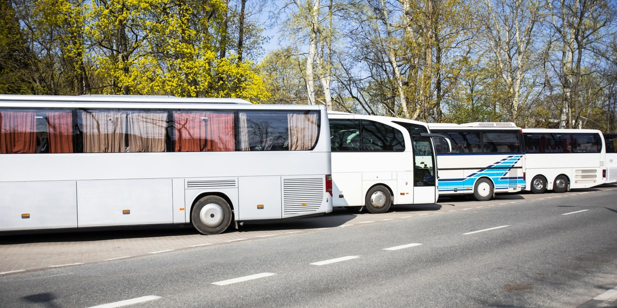 Obok gigantów obsługujących regularne trasy na rynku działają niewielkie firmy z jednym czy dwoma pojazdami