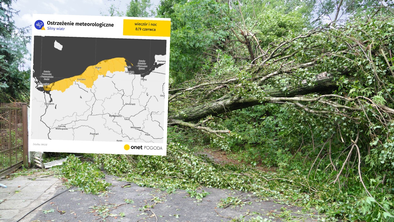 IMGW ostrzega przed silnym wiatrem. Niebezpiecznie w dwóch województwach